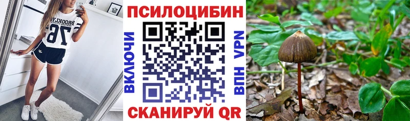 где купить наркоту Островной Псилоцибиновые грибы Psilocybine cubensis